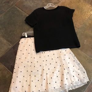 Top with embroidered cream colored skirt